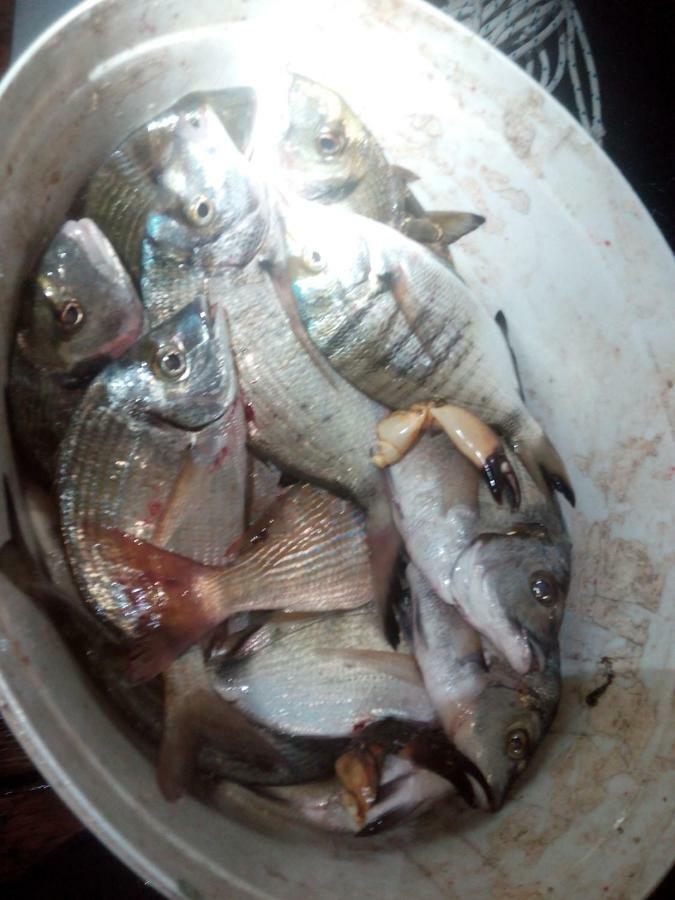 B&B Dal Pescatore ฟาชานา ภายนอก รูปภาพ
