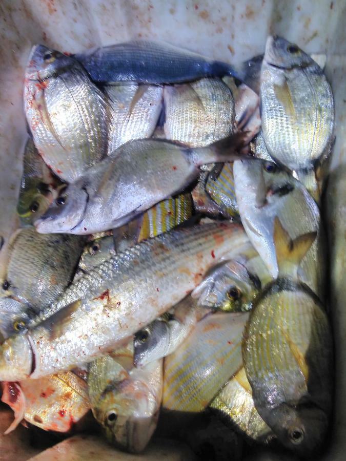 B&B Dal Pescatore ฟาชานา ภายนอก รูปภาพ
